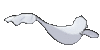 Imagen posterior de Dewgong en Pokémon X, Pokémon Y, Pokémon Rubí Omega, Pokémon Zafiro Alfa, Pokémon Sol, Pokémon Luna, Pokémon Ultrasol y Pokémon Ultraluna