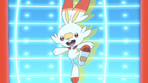 EP1094 Scorbunny siendo registrado en la SmartRotom.png