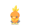 Torchic