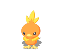 Torchic