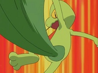 Treecko usando destructor.