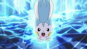 EP636 Pachirisu empieza a correr usando chispazo.jpg