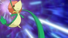 Snivy de Ash usando látigo cepa.