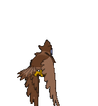 Imagen posterior de Staraptor variocolor hembra en Pokémon X, Pokémon Y, Pokémon Rubí Omega, Pokémon Zafiro Alfa, Pokémon Sol, Pokémon Luna, Pokémon Ultrasol y Pokémon Ultraluna