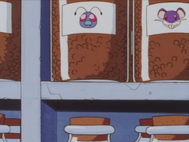 Comida Pokémon de A.J.