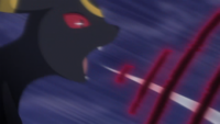 Umbreon de Spinel usando alarido/gruñido.