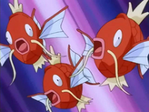 Magikarp