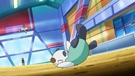 Tranquill de Trip activando afortunado al usar golpe aéreo contra el Oshawott de Ash.