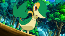 Snivy