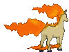 Imagen posterior de Rapidash en Pokémon X, Pokémon Y, Pokémon Rubí Omega, Pokémon Zafiro Alfa, Pokémon Sol, Pokémon Luna, Pokémon Ultrasol y Pokémon Ultraluna