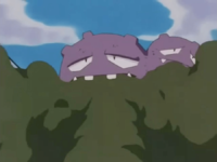 Weezing usando pantallahumo.