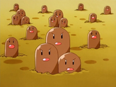 Diglett
