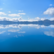Fondo de Akita