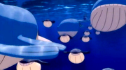 P09 Wailmer y Wailord.png