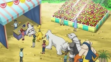 Aggron