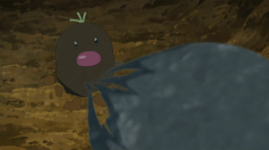 Diglett de Alola salvaje usando Bofetón Lodo.