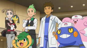 Brock