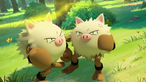 Primeape