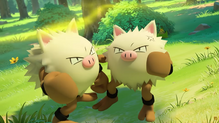Primeape