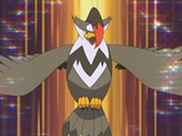 Staraptor