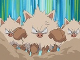 Primeape