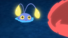 Chinchou