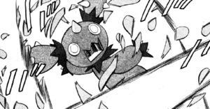 Maractus sufriendo el corte furia.