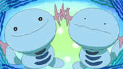 EP1108 Wooper y Ditto.png