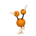 Doduo HOME.png