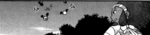 Woobat