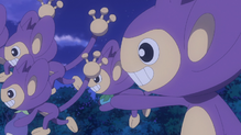 Aipom