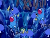 Chinchou