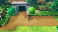 Entrada por la Ruta 4 en LGPE