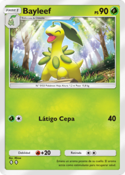 Bayleef (Saber Marino y Celeste TCG Pocket) - WikiDex, la enciclopedia  Pokmon
