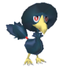 Murkrow