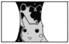 Pichu