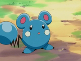 Azurill