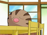 Swinub