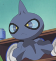 Shuppet