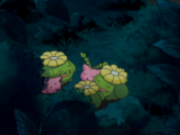 Hoppip
