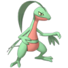 Grovyle Masters.png