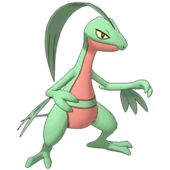 Grovyle