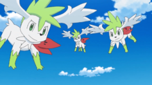 Shaymin