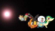 Snivy