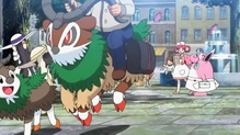 Imagen de Gogoat