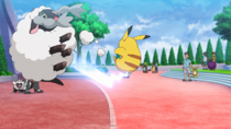 Wooloo enfrentando al Pikachu de Ash.