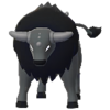 Tauros de Paldea combatiente