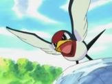 Taillow