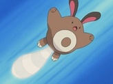 Sentret