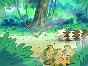 EP449 Pokémon del bosque.jpg
